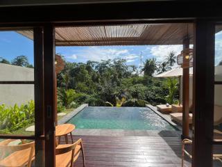 Nila Villa Ubud - Tegalalang - 1