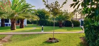 Apartamento Las Golondrinas - Cala'n Bosch - 5