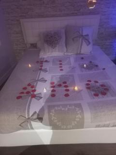 La suite de Chez Adeline , 45 minutes from Beauval Zoo - Levroux - 7