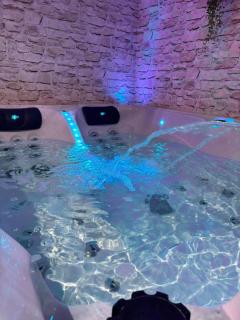 La suite de Chez Adeline , 45 minutes from Beauval Zoo - Levroux - 4