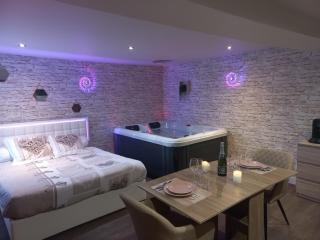 La suite de Chez Adeline , 45 minutes from Beauval Zoo - Levroux - 1