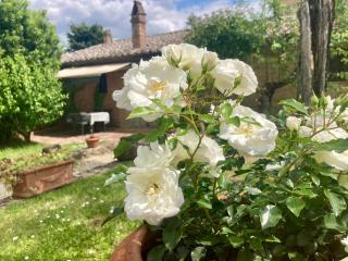 Podere Il Conventino, Casette in campagna con piscina - Nottola - 0