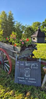 Les trois bergers - 9