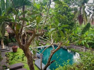 RUNA the Artisan's Villa - Ubud - 1