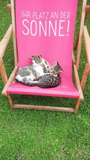 Karnerhof - Mariapfarr - 1