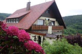 Haus Rheintalblick - Sasbachwalden - 7