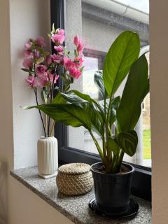 Mams-Cottage - - 4