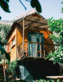 Kaplumbağa Bungalows - Fethiye - 4