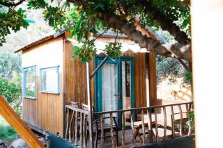 Kaplumbağa Bungalows - Fethiye - 3