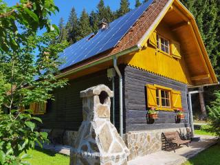 Authentic Pohorje house with riverside outdoor sauna - Oplotnica - 9