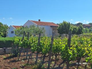 Arbor Countryside Oasis - Biograd na Moru - 6