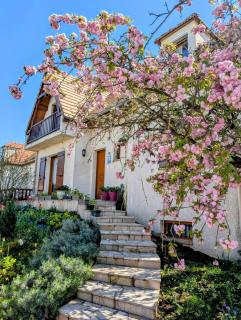 3 Chambres-Disneyland Paris - Saint-Thibault-des-Vignes - 0