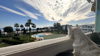 Amazing sea view apartment in Miraflores - La Cala de Mijas - 6