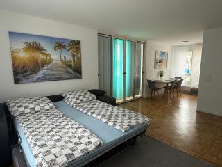 Mehrere Ferienwohnungen in Top Lage in der Nähe eines Rhein-Strandbads - 5