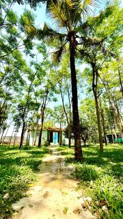 Ela Maheshwari Resort & Farm House - Devanahalli-Bangalore - 1