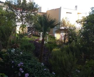 Apartmani TOPLA - Zlokovic - A3 i A4 - Topla - 8
