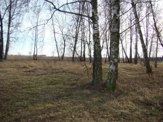 Różany Domek - Wojnówko - 9
