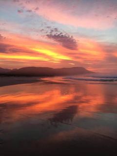 Nature's Valley Health Retreat A Hide away in the Forest - 8