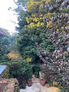 Tree House - Vosburg - 3