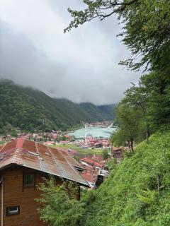 Şahin Home - Uzungöl - 0