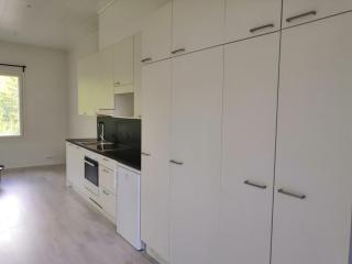 Huoneisto grillausmahdollisuudella - Espoo - 9