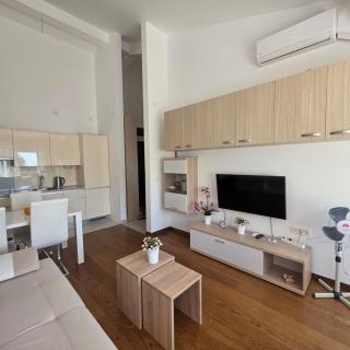 Summer vacation near Sveti Stefan - 3