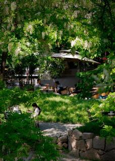 Zhi Resort Beijing&Peafowl Garden&Breakfast with Deer&Private Hot Spring&Landscapes of a Thousand Acres&50 Meter Swimming Pool&Free Coffee&Close to Olympic Forest Park - Pechino - 1