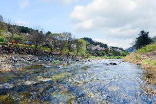 Stay Gapyeong 2025 Renovation - 1