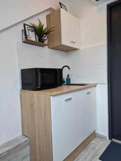 Tiny Downtown Apartment w Detached Private Bath - Zagreb - 3