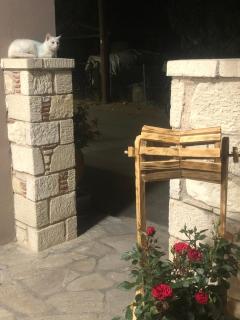 Mangata Seaside Hotel - Rovies - 9