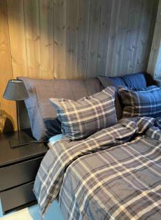 Lekker Designhytte med panorama utsikt - Hovden - 1