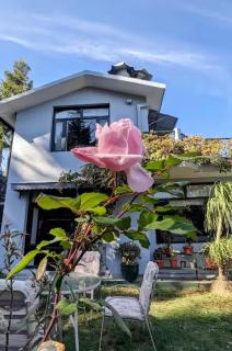 V are Family Bliss Cottage - 3BHK Hilltop Pet Friendly Villa with Sundeck, Bonfire & BBQ - 6