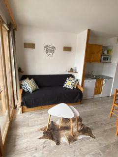 Superbe appartement au cœur de la joue du loup - Le Dévoluy - 9