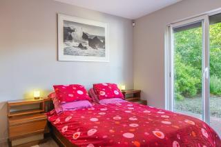 La Salamandre - maison avec jacuzzi - 6