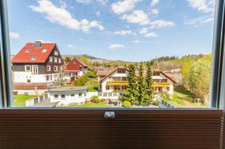 Ferienwohnung Waldfrieden 4 mit Dachterrasse und Grill - Braunlage - 8