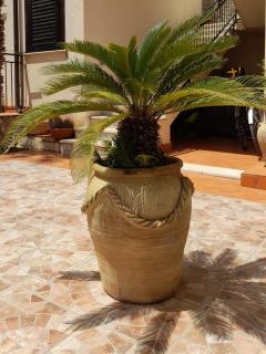 il limone appartamenti 2 - San Vito Lo Capo - 8