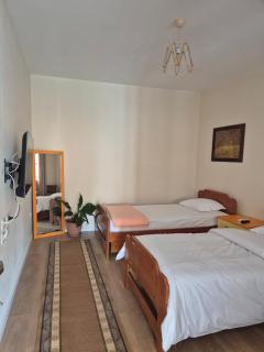 Kurmaku's guesthouse - Elbasan - 6
