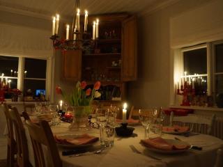 Bjorknas -Top Quality Hideaway above Arctic Circle - - 1