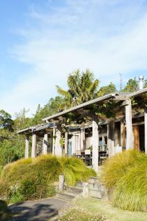 Above the Bay - Hahei - 3
