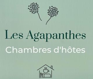 Les Agapanthes chambres d hôtes - Lamonzie-Saint-Martin - 0