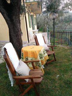 El Casal Apartment 1-2 - Torri del Benaco - 0