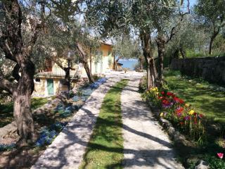 El Casal Apartment 1-2 - Torri del Benaco - 8