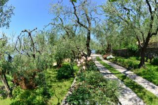 El Casal Apartment 1-2 - Torri del Benaco - 2