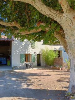 Gîte des deux platanes - Orgon - 9