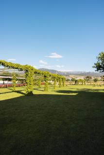 Cortijo El Maizal - 7