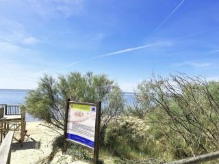 Life Apartments El Rompido Enebros - Cartaya - 9