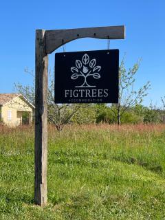 Figtrees - Margueron - 8