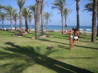 TORREMOLINOS Carihuela BEACH RESORT - Torremolinos - 5