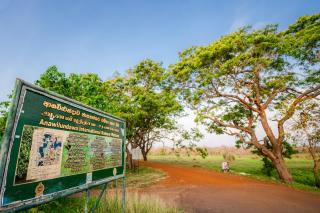 Peacock village and Spa - 9