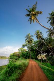 Peacock village and Spa - 1